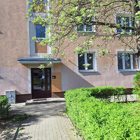 Apartament Katrin II Stary Toruń エクステリア 写真